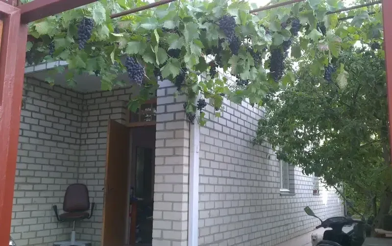 Гостевой дом «Софья» — фото 3