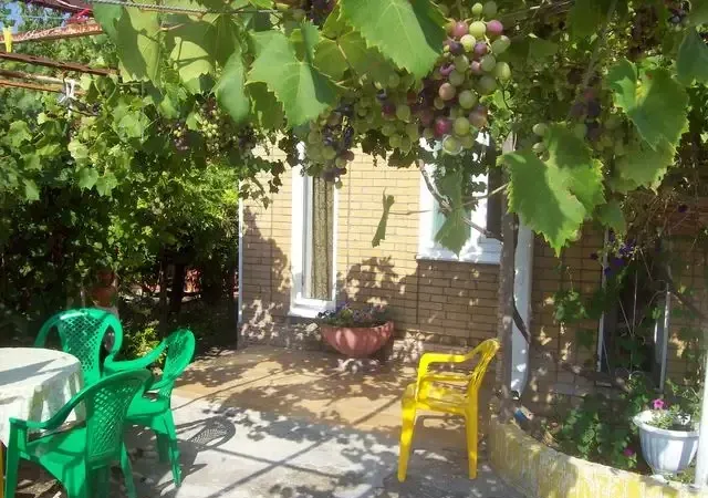 Коттедж на Cанаторной — фото 2