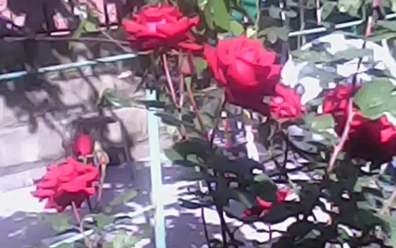 Дом «Приветливый» — фото 4