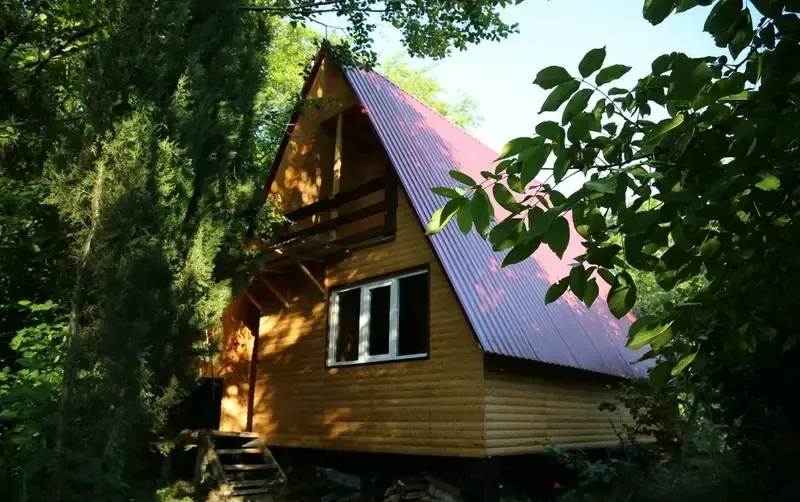 База отдыха в Головинке — фото 2