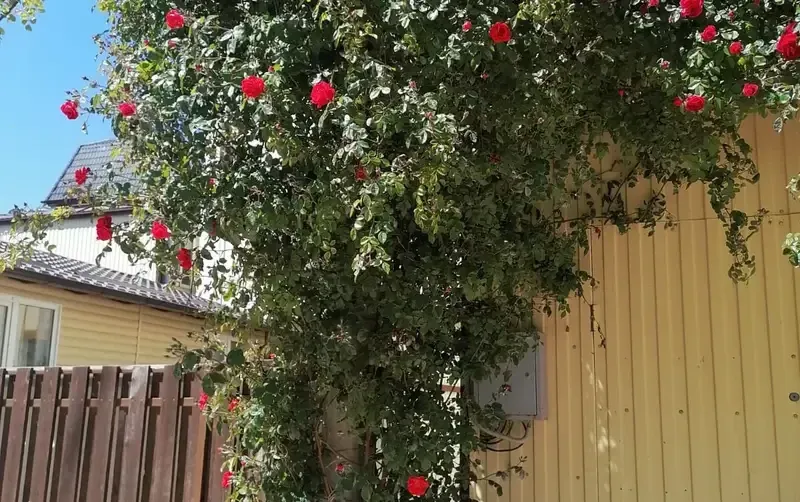 Гостевой дом «Радуга» — фото 3