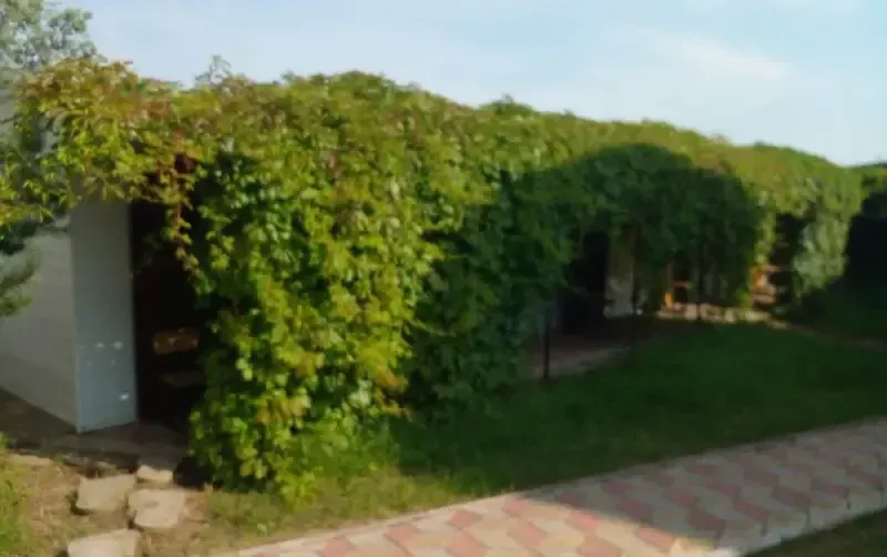 База отдыха на Кубанской — фото 4