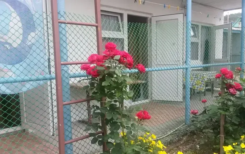 Частный сектор на Мира 53