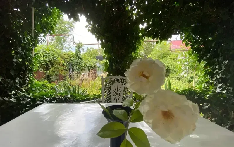 Гостевой дом «Green Oasis+» — фото 4