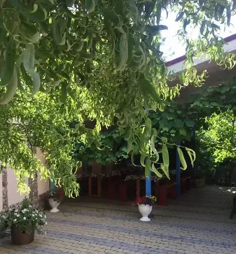 Гостевой дом в Кринице — фото 4