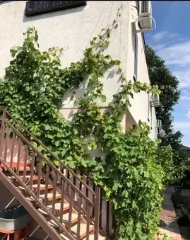 Гостевой дом «Карагач»