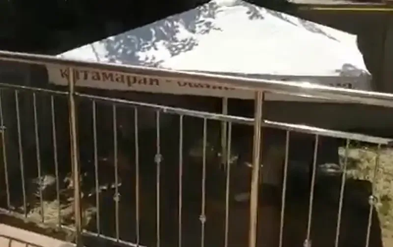 Гостевой дом на Речной 1 — фото 5
