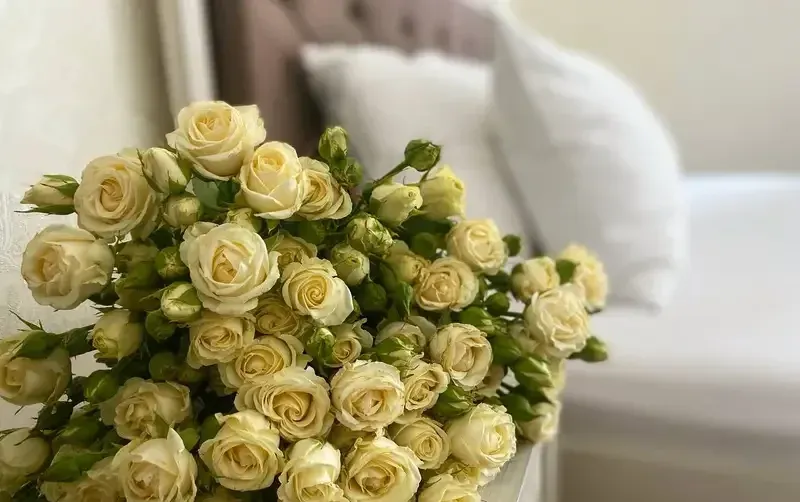 Отель «Сан-Сити» — фото 3