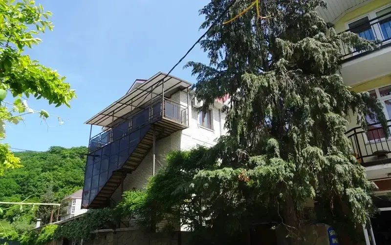 Гостевой дом «Виноградная лоза» — фото 3