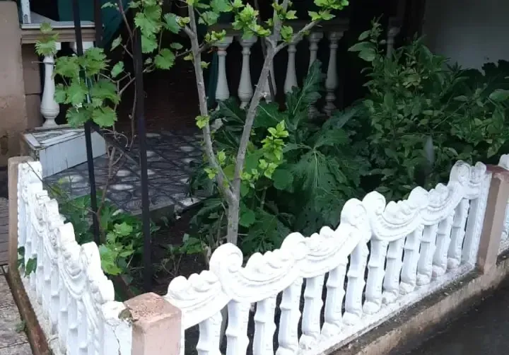 Коттедж «Мандарин» — фото 3