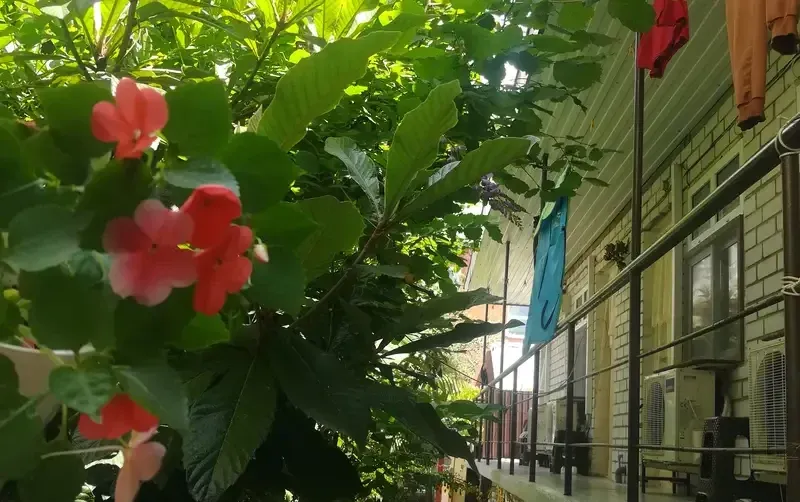 Гостевой дом «У Натальи» — фото 5
