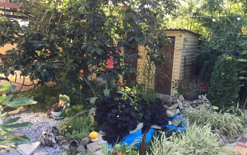 Гостевой дом «Светлана» — фото 5