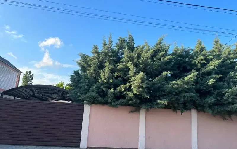 Уютный гостевой дом на Лесной