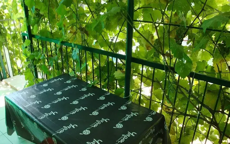 Коттедж «Татьяна» — фото 3