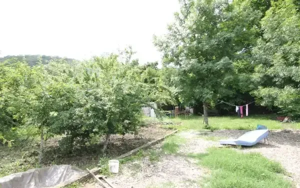 Гостевой дом «Соня» — фото 3