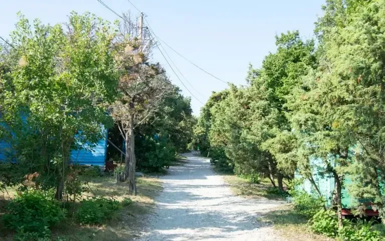 База отдыха «Прибой» — фото 5