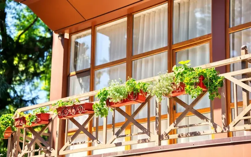 Отель «Green Club»