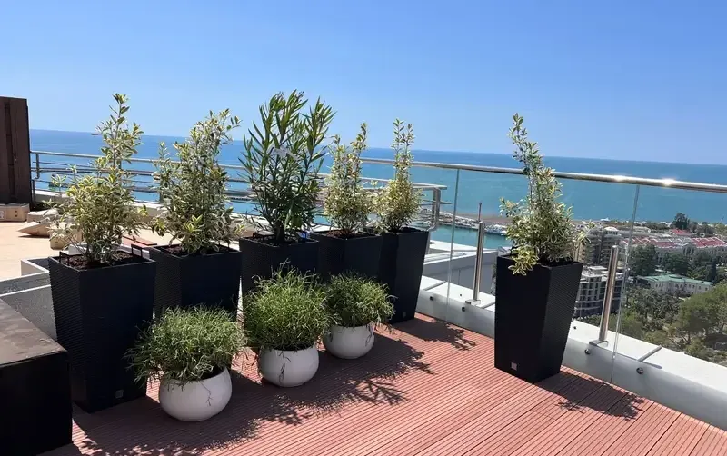 Шикарный пентхаус с видом на море