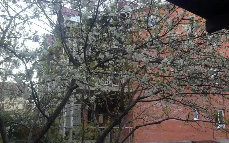Этаж под ключ с отдельным входом — фото 4