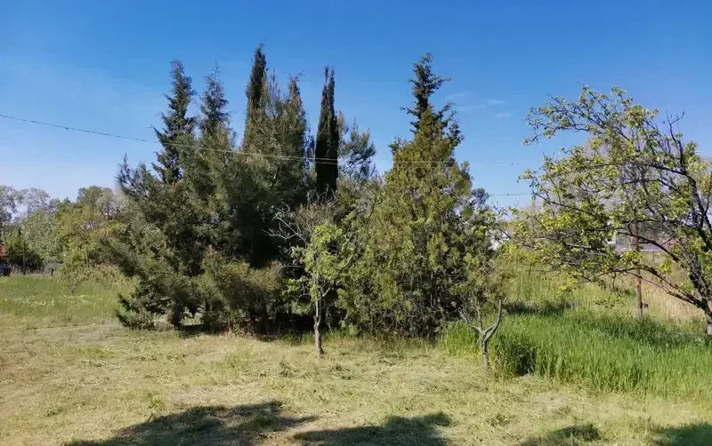 Гостевой дом «Eco botanica» — фото 2