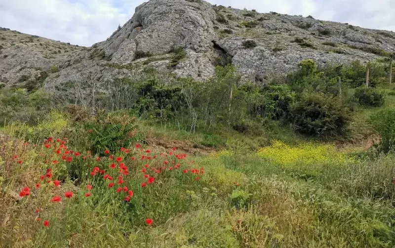 Гостевой дом «Eco botanica» — фото 3