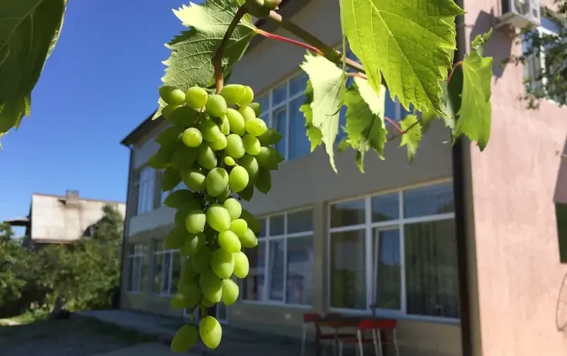 Гостевой дом «у Арсена»