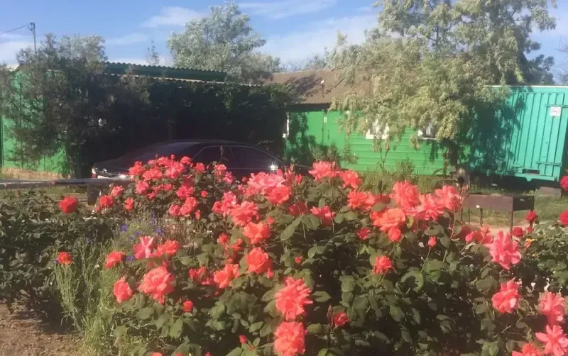 База отдыха «Дружба» — фото 5