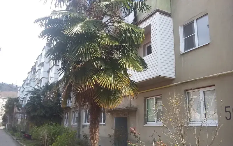 Квартира на Курской