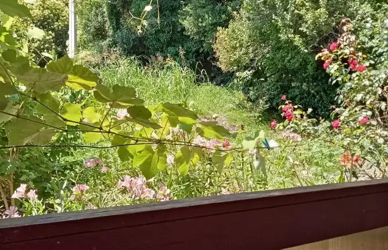 Дом под ключ «Home! Sweet home»