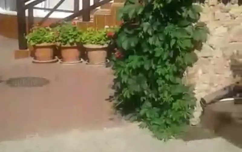 Отель «Спарта» — фото 4