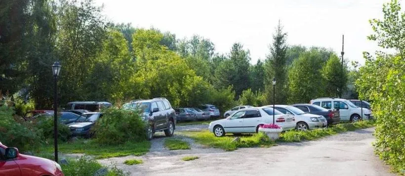 Березка — фото 2