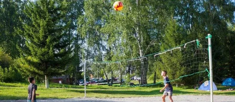 Березка — фото 3