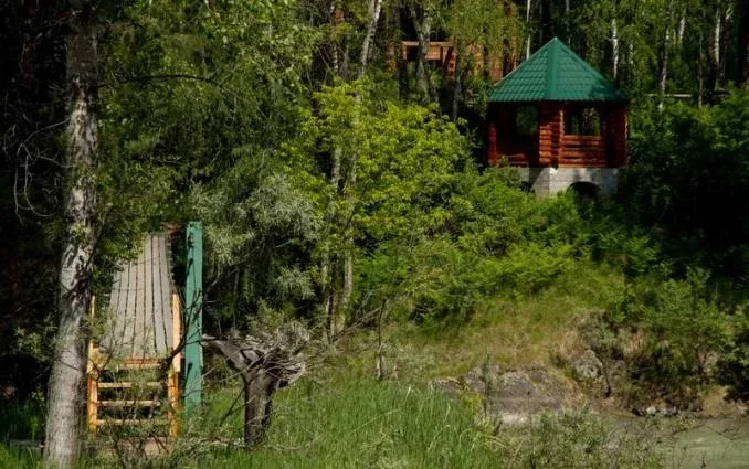 Хутор «Кедровый» — фото 5
