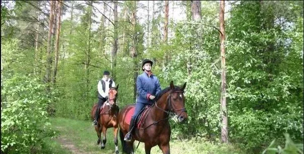 База отдыха Дача