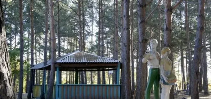 Зеленый бор