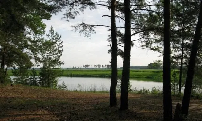 База отдыха Ямайка — фото 3