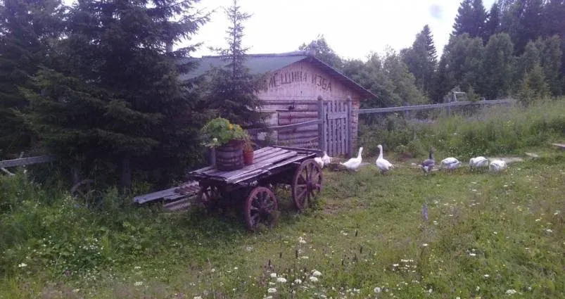 Гостевой дом «Алёшина изба» — фото 4