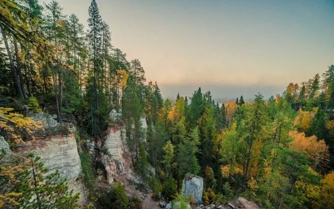 Лесной отель «Голубино» — фото 3