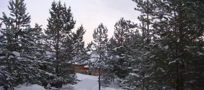 Железные ворота — фото 4