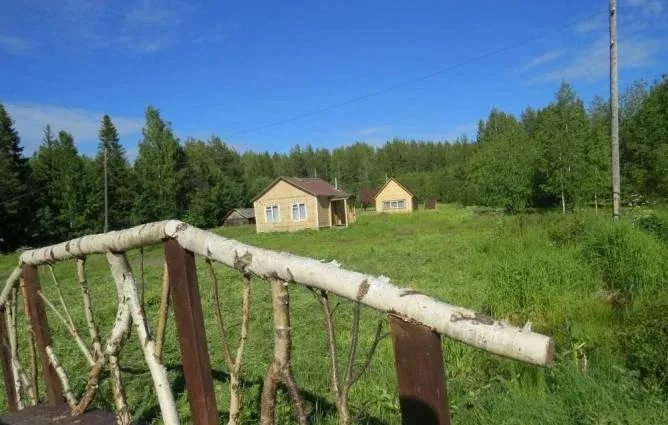Каменный ручей — фото 4
