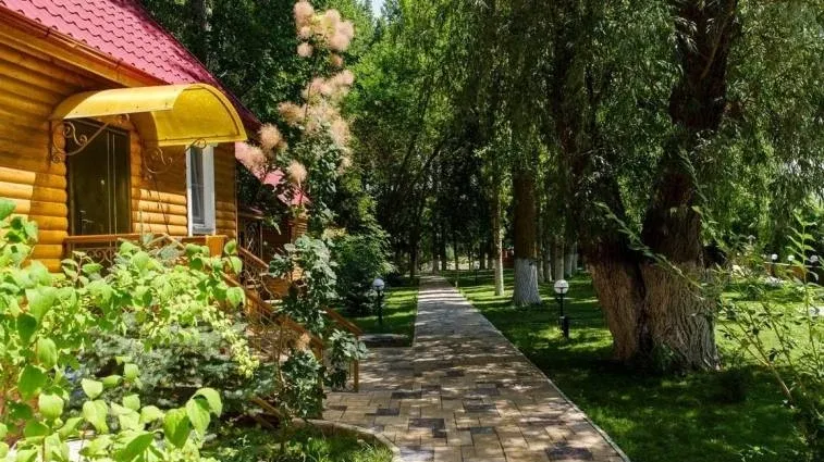 База отдыха «Прохладная» — фото 3