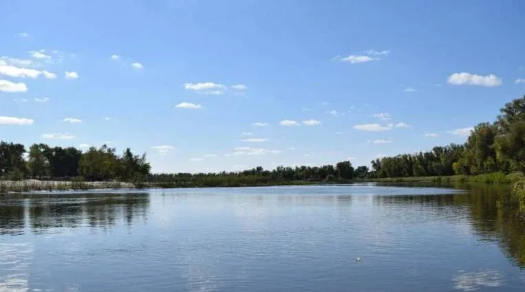Болхуны