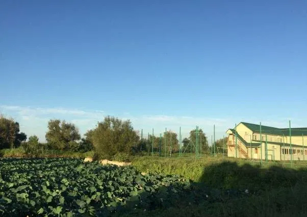 Рыболовно-охотничья база 'Блесна' — фото 4