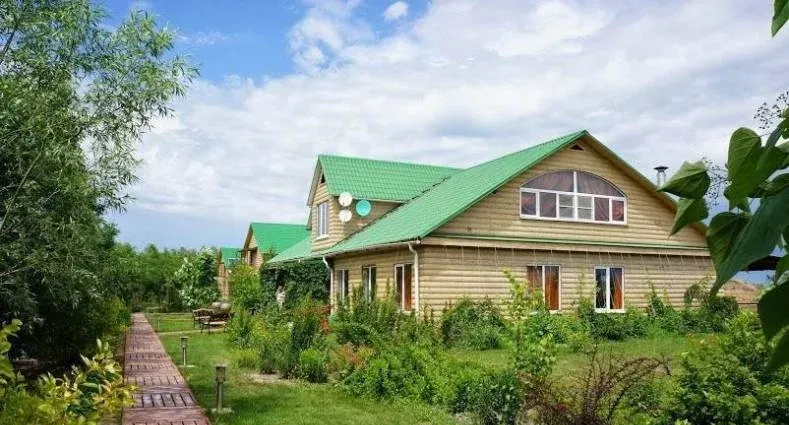 Ольга — фото 2
