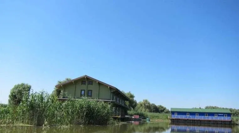 Рыбоход