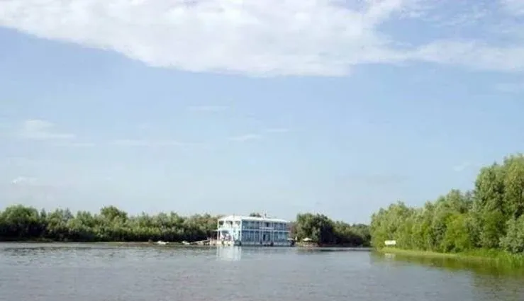 Серебряная дельта — фото 2