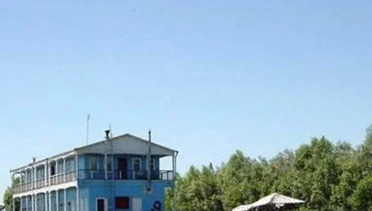 Серебряная дельта — фото 3
