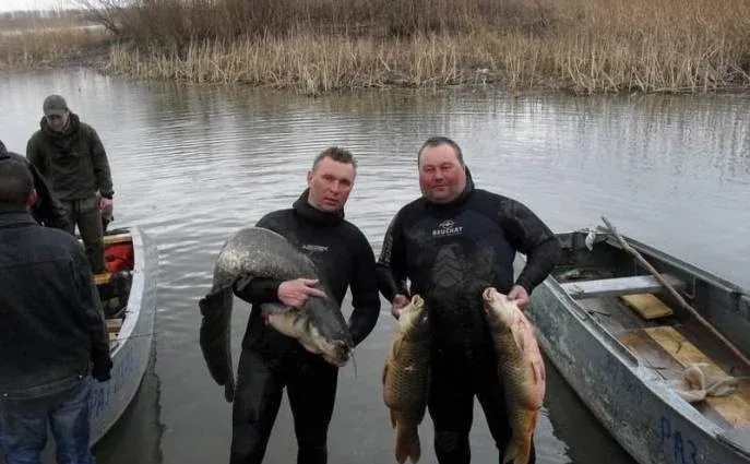 Волчок