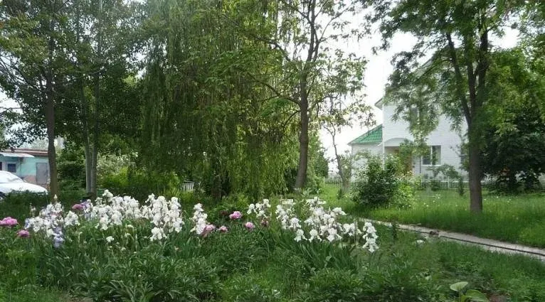 База отдыха «Парус» — фото 4