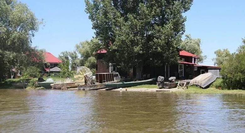 Заповедная сказка